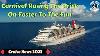 Carnival Cruise Line Is Rasing The Price On Faster To The Fun